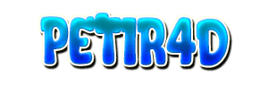 PETIR4D